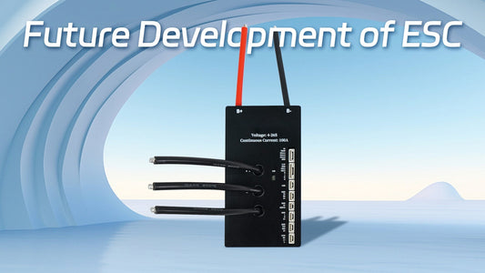 Future Development of ESC